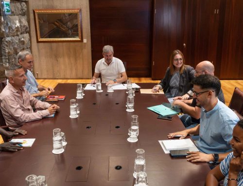 Gobierno de Canarias y ongs acuerdan crear una mesa de trabajo con todos los implicados en migración