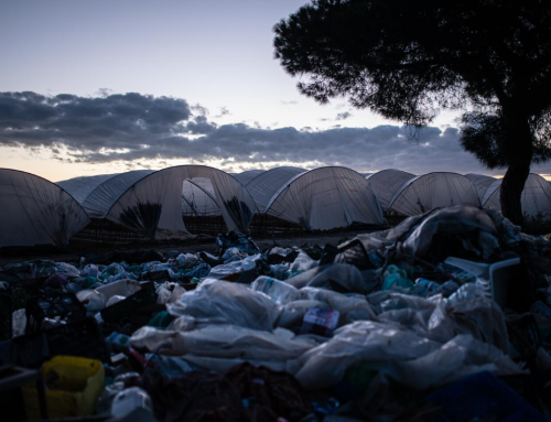 2.465 personas han muerto o desaparecido intentando llegar a territorio español en 2024